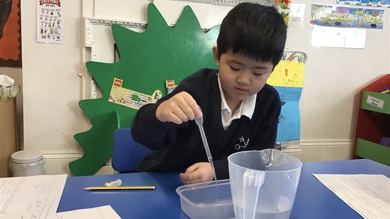 science-experiment-year2