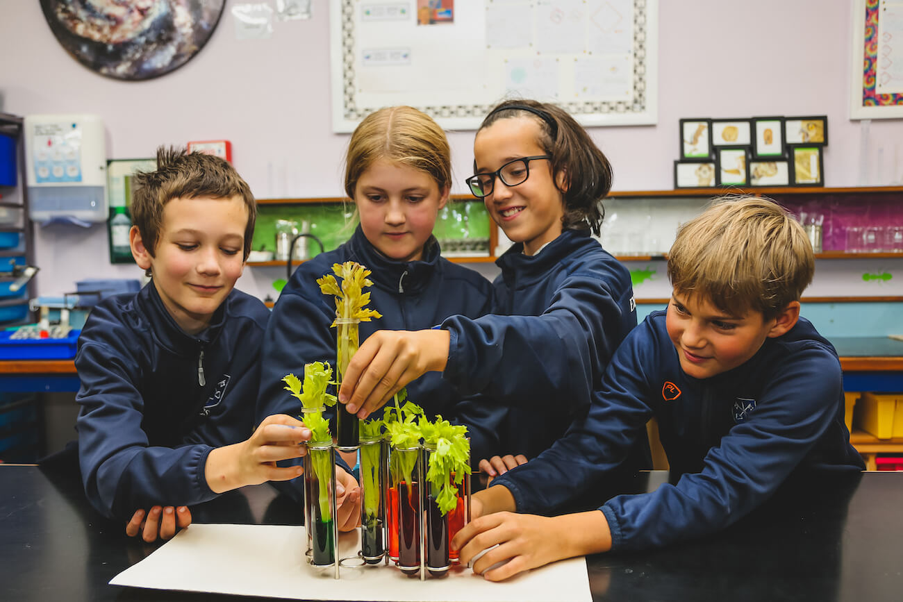 science-prep-experiment-pupils-plant
